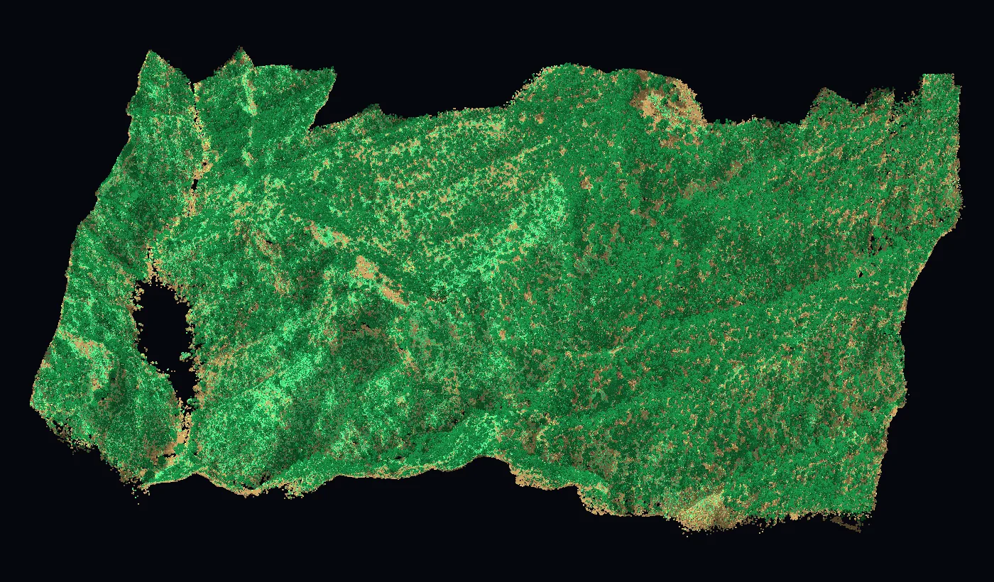 Clasificada